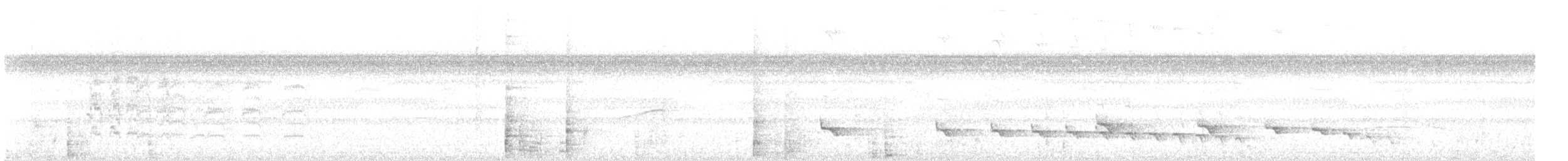 Schwarzschopf-Ameisenvogel - ML603772151