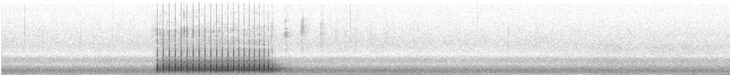 datlík smrkový (ssp. fasciatus) - ML603773201