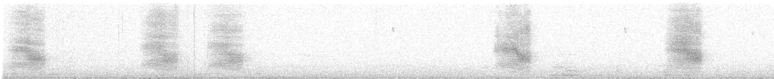 Chara de Steller - ML603839411