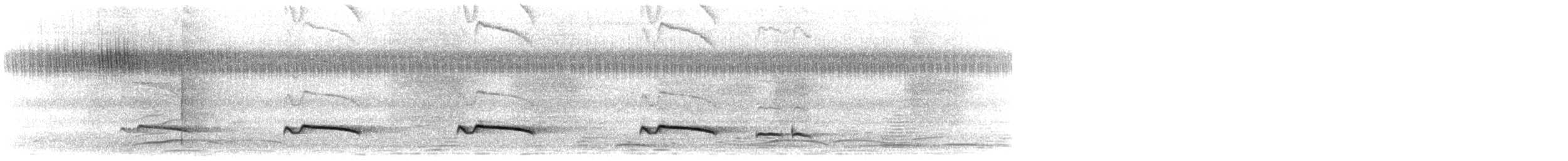 Gray-bellied Cuckoo - ML603881261