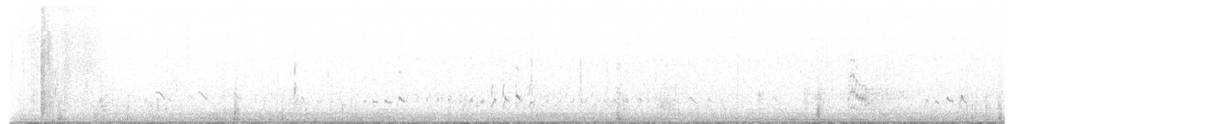 Forster's Tern - ML603882371