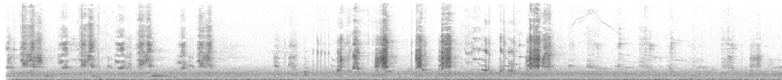 Méliphage à gouttelettes - ML603896361