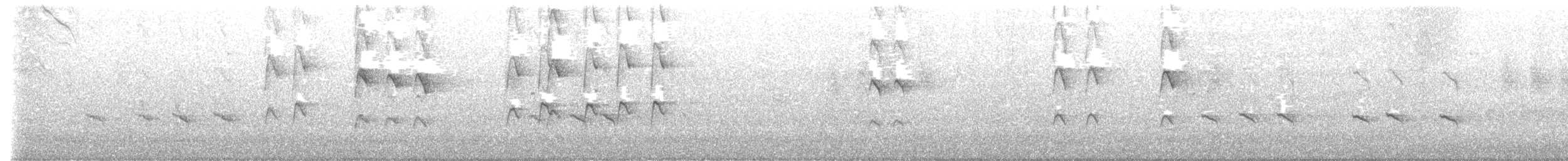 svarthettehonningeter - ML603896521