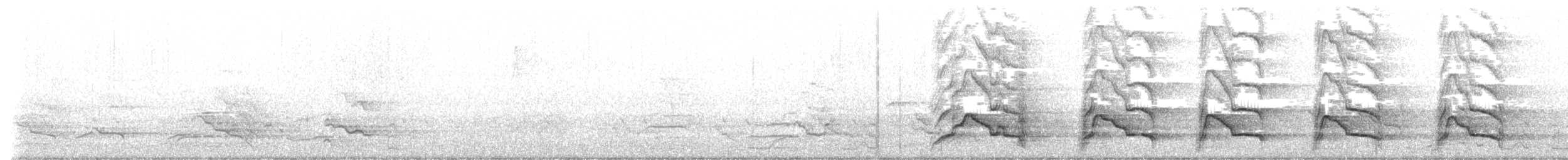 kakadu bělouchý - ML603939691