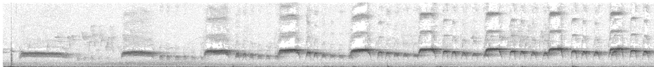 Weißbrust-Stelzenralle - ML603939771