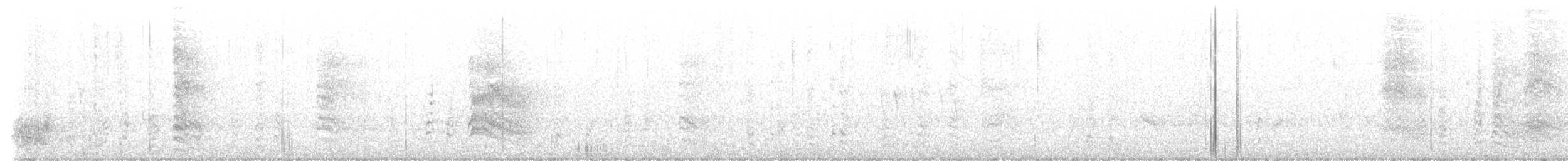 White-browed Babbler - ML603940261