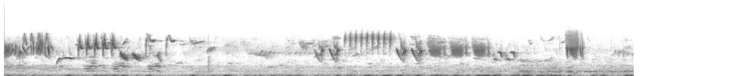 Brimstone Canary - ML604040871