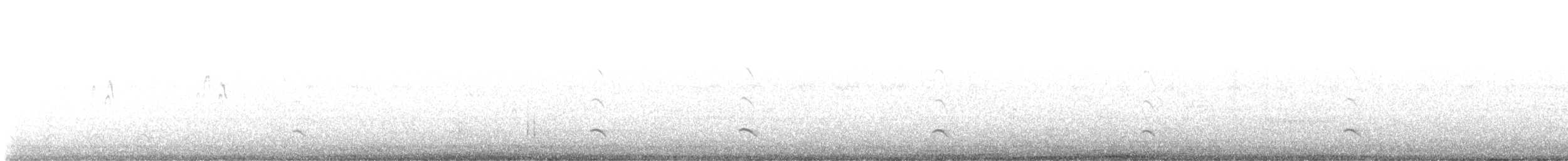 Élanion à queue blanche - ML604052321
