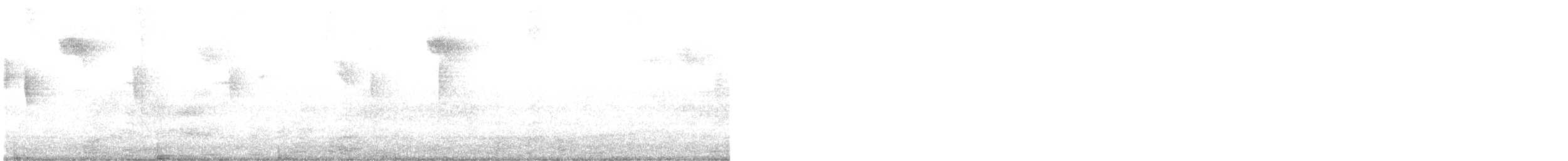 gråfluesnapper (striata gr.) - ML604087791