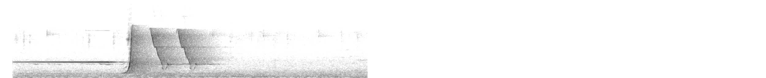 Kara Göğüslü Kamçıkuşu - ML604101081