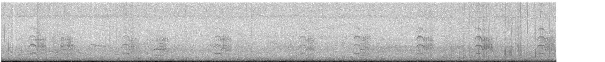 Sterne pierregarin - ML604112011