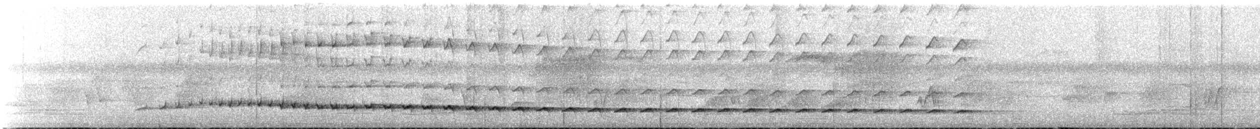 elfenbeinstreløper - ML604112931