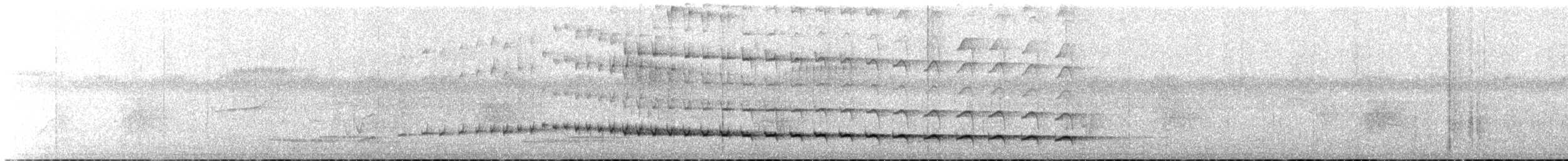 elfenbeinstreløper - ML604112941