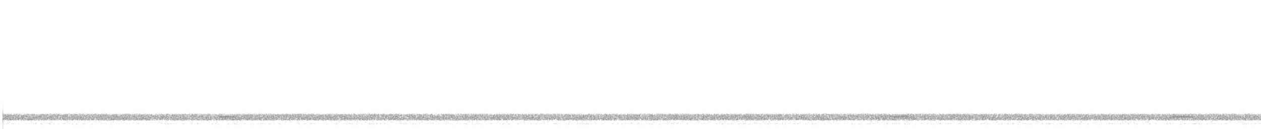Chevêchette naine (groupe californicum) - ML604190341