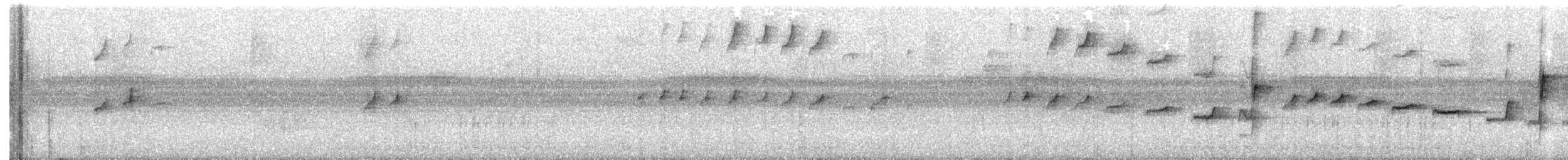 Серогрудый тенелюб - ML604235111