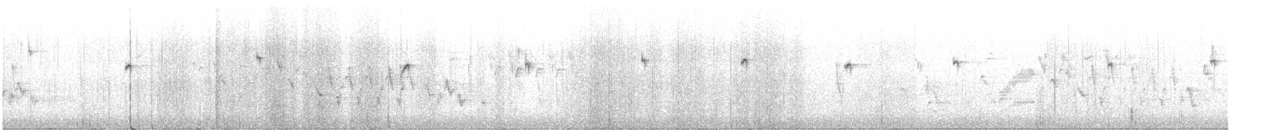 kolibřík blankytohrdlý - ML604259161