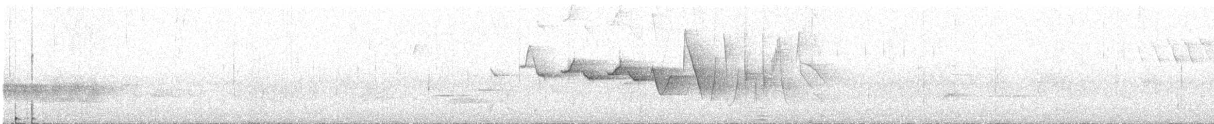 Louisiana Waterthrush - ML60428611