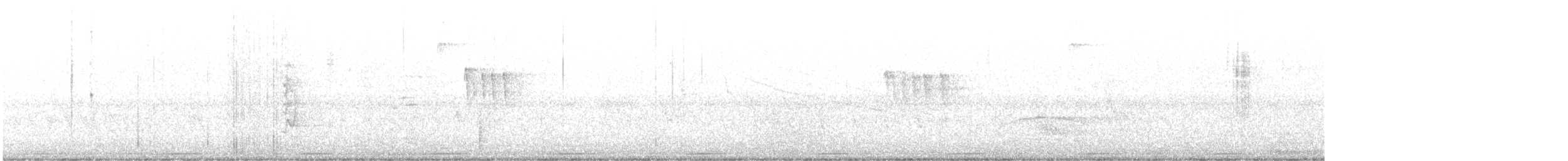 Weißscheitel-Kleintyrann - ML604402121