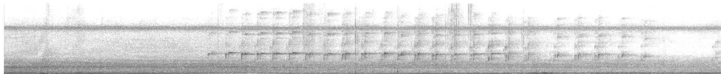 American Barn Owl (Curacao) - ML604402961