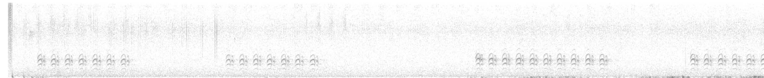 Weißbrustkleiber [lagunae-Gruppe] - ML604444071