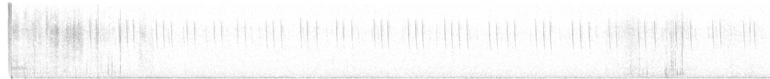 Calliope Hummingbird - ML604446521