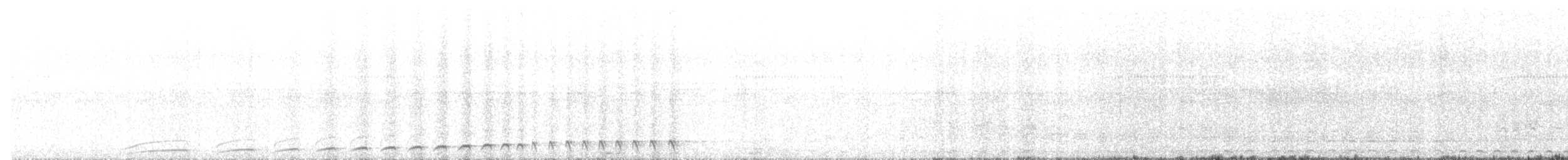 White-throated Nightjar - ML604511561