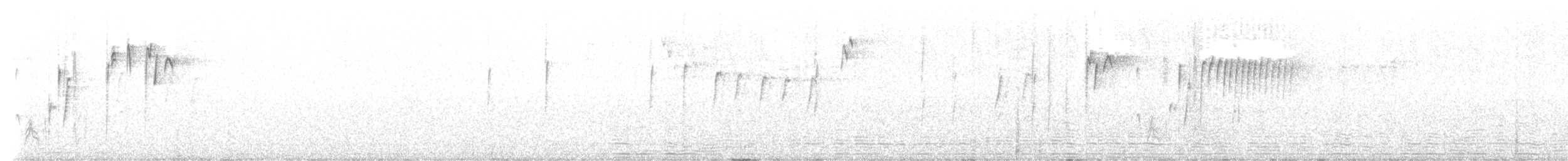 Acanthize sobre - ML604518701