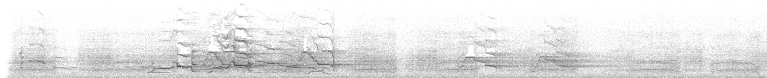 kakadu běloocasý - ML604519021