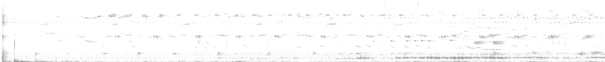 Least Sandpiper - ML604606461