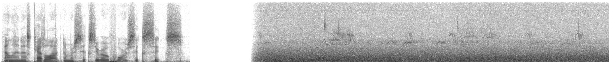 fjellrosenfink (severtzovi gr.) (flekkrosenfink) - ML60466