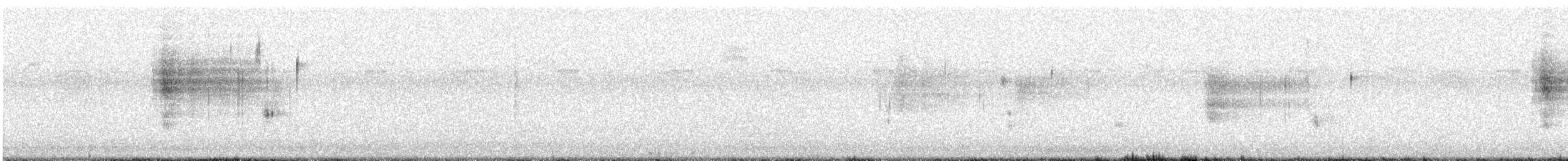 Канадская овсянка-барсучок (subvirgata) - ML604707731