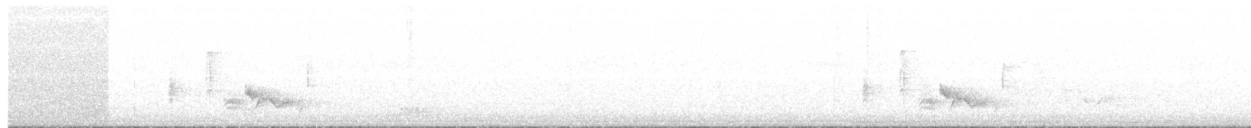 White-eyed Vireo - ML604727171