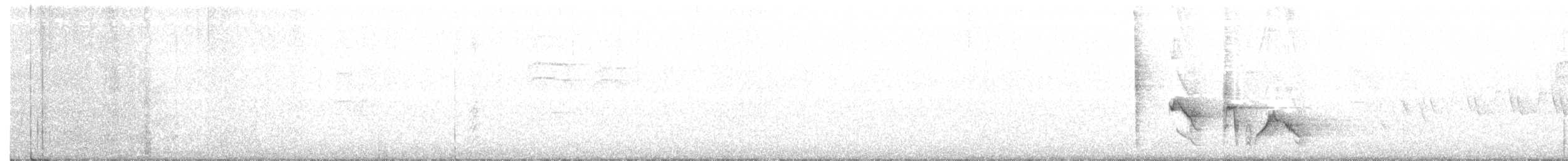 White-eyed Vireo - ML604731991