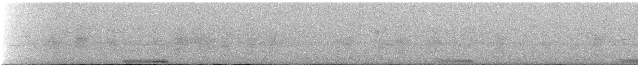 Eared Dove - ML604734691