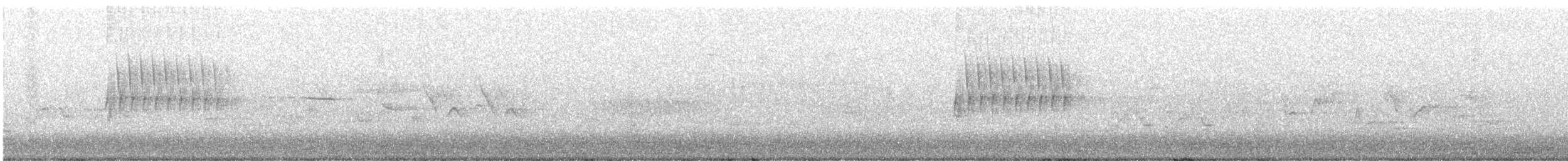 Тауї плямистий - ML604738121