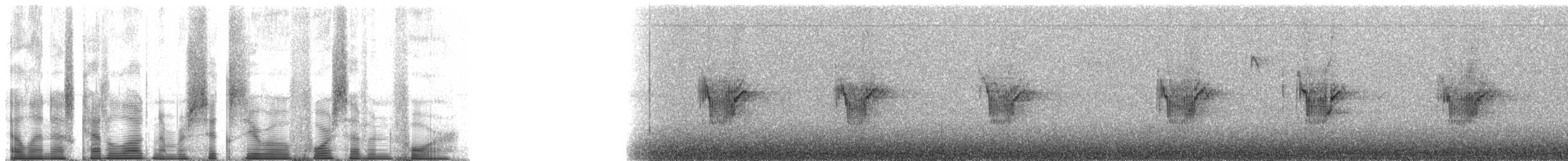 Carpodacus, unbestimmt - ML60474