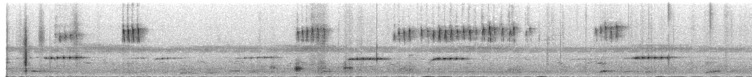 øgleugle (brasilianum gr.) - ML604753091