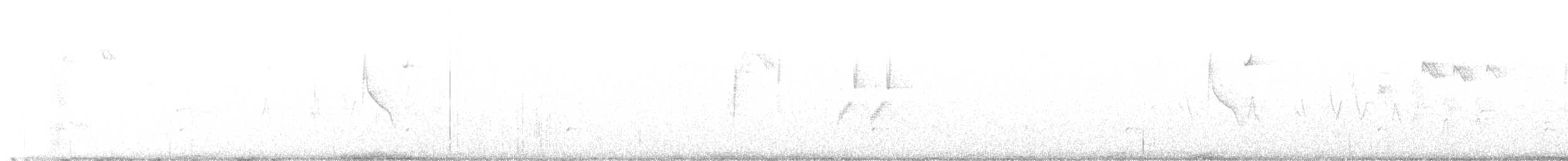 Ґоріон білогорлий - ML604762401