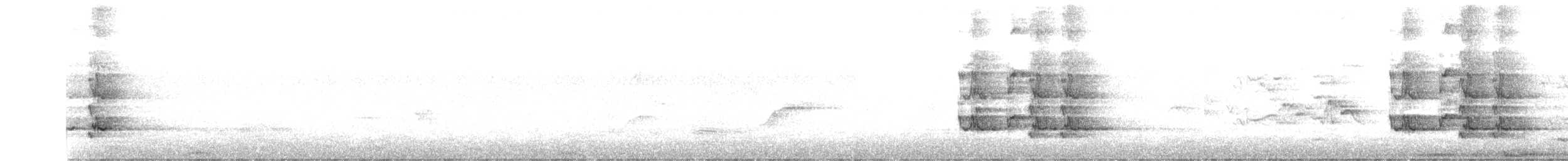 Куравонг сірий (підвид versicolor/plumbea) - ML604796251