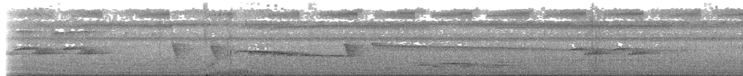 White-tailed Flycatcher - ML604812551