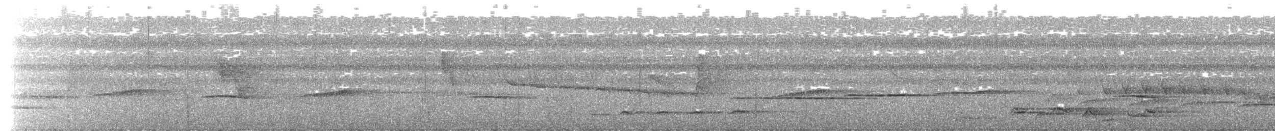 White-tailed Flycatcher - ML604812561