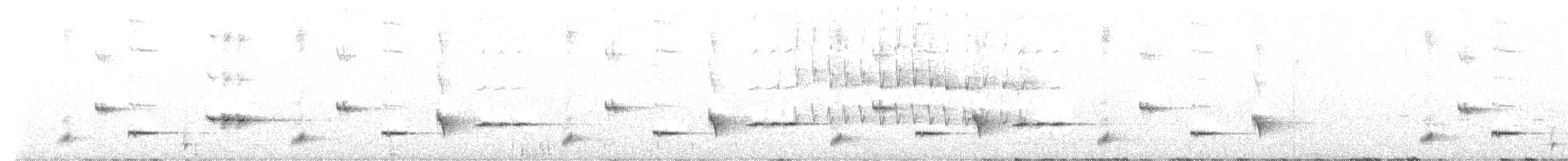 Батіжник вусатий (підвид nigrogularis/oberon) - ML604816921
