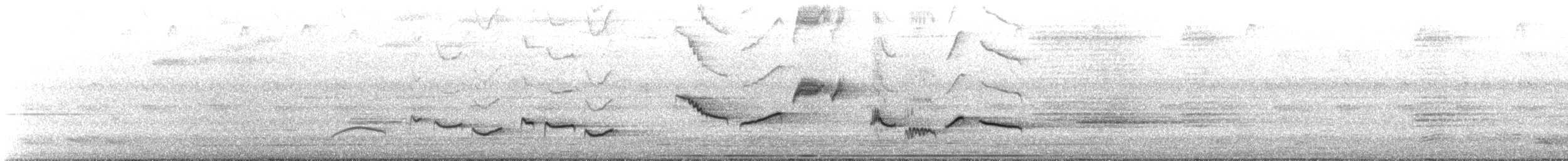 インドクロウタドリ（nigropileus／spencei） - ML604854331