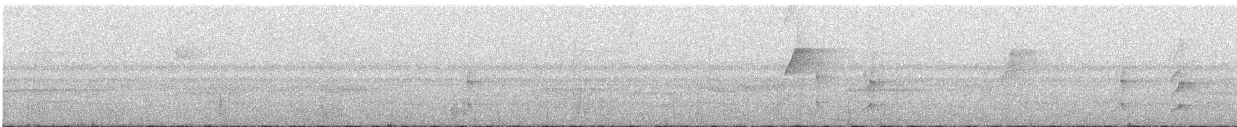 Graukappen-Todityrann - ML604878131