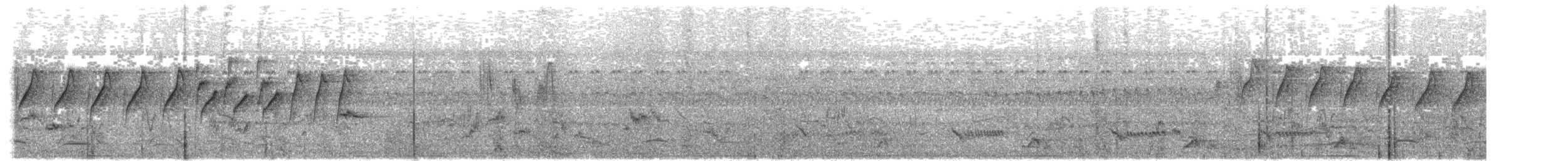 Атласная нектарница - ML604881041