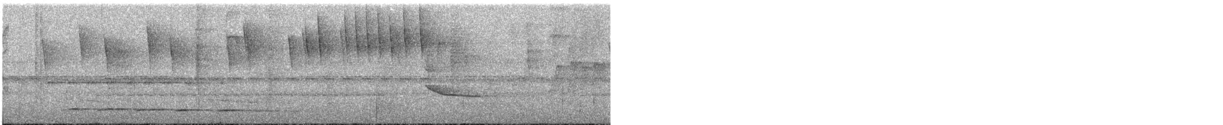 White-streaked Antvireo (White-streaked) - ML604883201