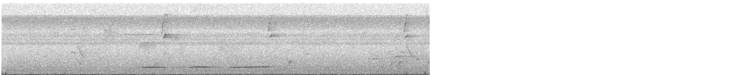 Undulated Tinamou - ML604897441