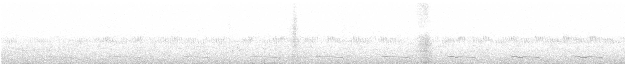 オオゴシキドリ - ML604914041