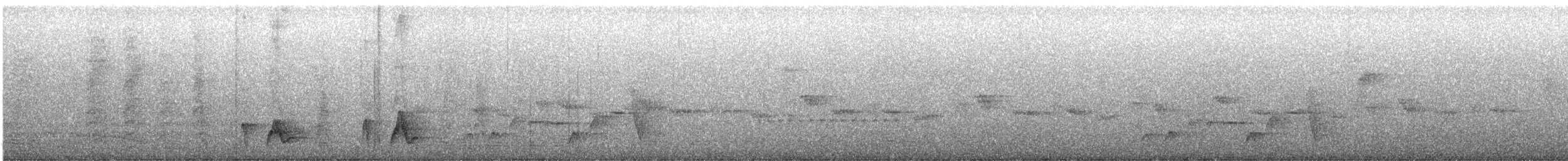 Northern Wattled-Honeyeater - ML604954781