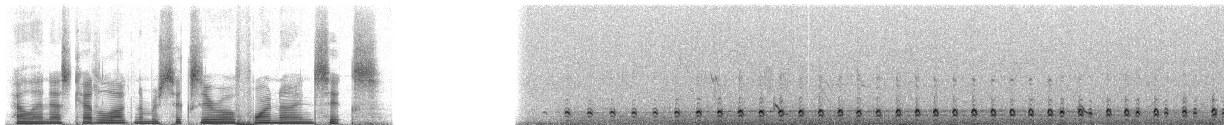 Perdrix de Przewalski - ML60496